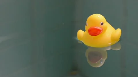 Yellow duck floating on water Stock Footage 21283410