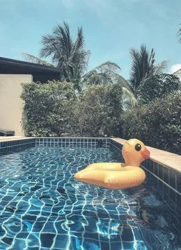 Yellow duck inflatable ring floating in swimming pool surrounding with pal... Stock Photos