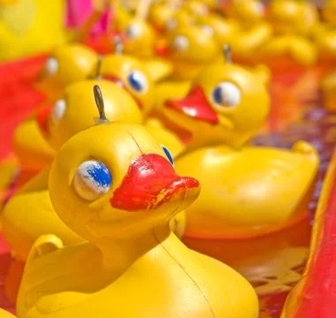 Yellow duck Stock Photos
