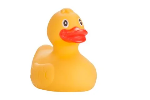 Yellow duck Stock Photos