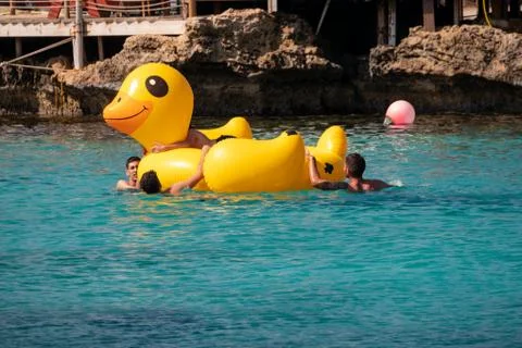Yellow Duck Stock Photos