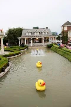 Yellow duckling 库存照片