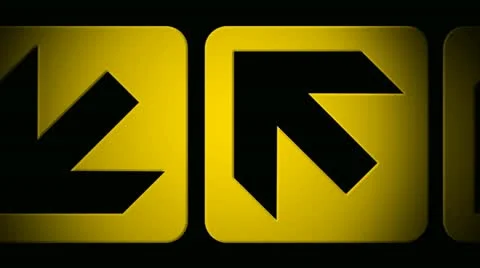 Yellow duo Stock Footage 12161873