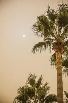 A yellow dust cloud obscured the sun. Sandstorm in Africa Syria Cyprus. Stock Photos