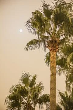 A yellow dust cloud obscured the sun. Sandstorm in Africa Syria Cyprus. Stock Photos