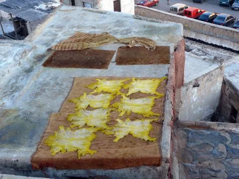 Yellow dyed hides drying in sun Fotos Stock