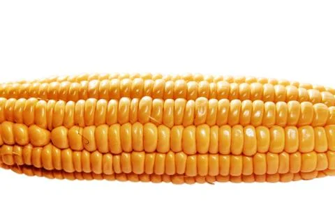 Yellow ear of corn Stock Photos