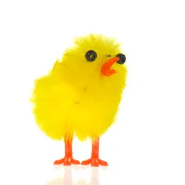 Yellow easter chick 스톡 사진