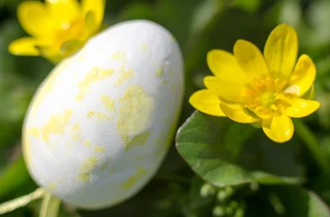 A yellow Easter egg in beautiful yellow colors. Easter composition Stock Photos