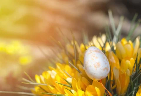 A yellow Easter egg in beautiful yellow colors. Easter composition Stock Photos