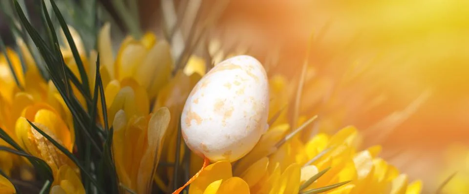 A yellow Easter egg in beautiful yellow colors. Easter composition Stock Photos