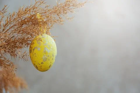 Yellow Easter egg on branch of dry reed grass Stock Photos