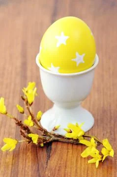 Yellow easter egg in a egg cup with Forsythia twig Stock Photos