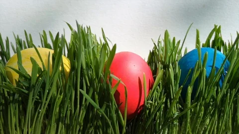 Yellow easter egg falls into young fresh green grass Stock Footage 105668275