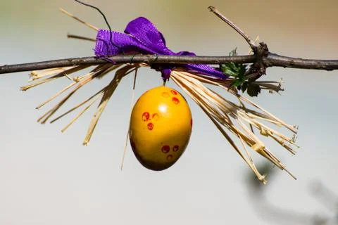 Yellow Easter egg hanging on Easter tree Stock Photos
