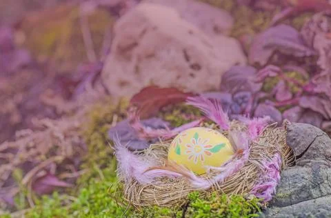Yellow easter egg in nest Foto stock