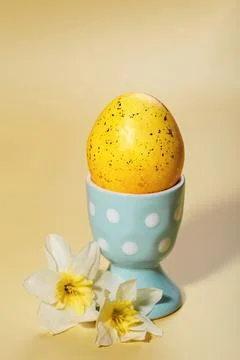 Yellow Easter egg in pastel cup with daffodils on warm background Стоковые фото