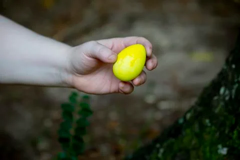Yellow Easter Egg Stock Photos