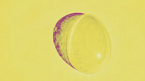Yellow Easter Egg Zoom with Pink Refractions Stock Footage 305002535