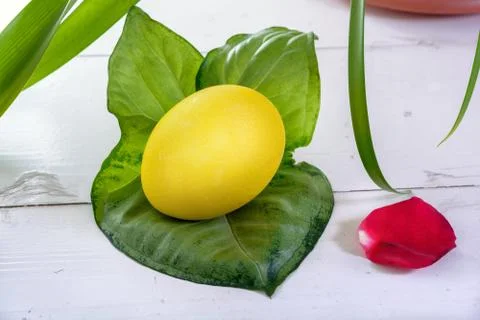 Yellow easter eggs among green leaves Stock Photos