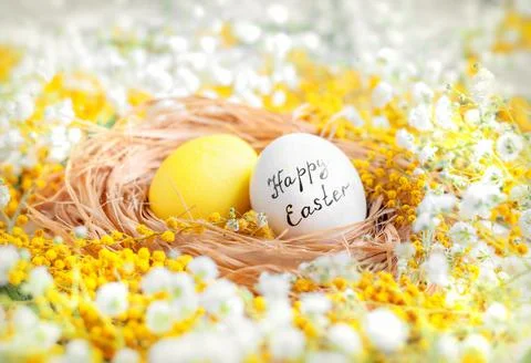 Yellow Easter eggs among white and yellow flowers. plaster and mimosa. Stock Photos