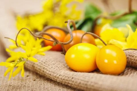 Yellow easter eggs Stock Photos