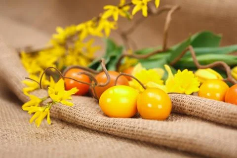 Yellow easter eggs Foto stock