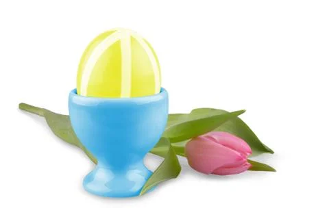Yellow easter eggs with pink tulip, isolated Stock Photos