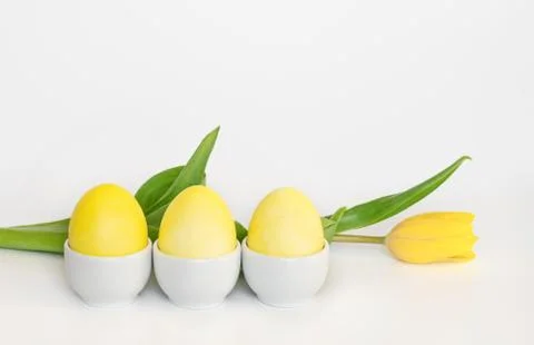 Yellow Easter eggs on a stand and a tulip flower on a white background.  Stock Photos