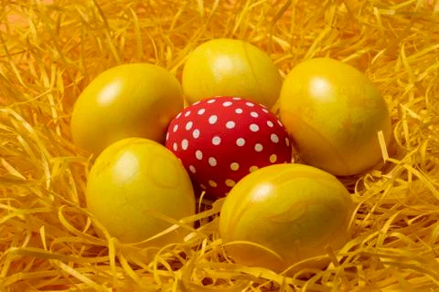 Yellow easter eggs on straw background Stock-Fotos