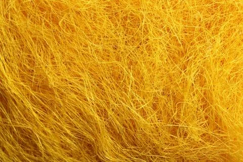 Yellow easter grass Stock Photos