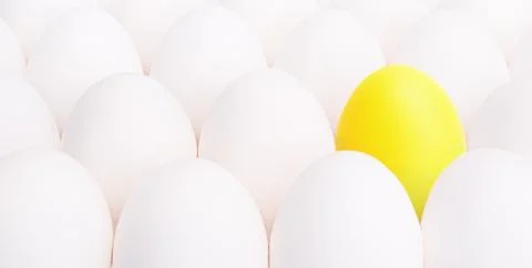 Yellow egg between many white eggs Stock Photos