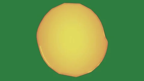 Yellow egg on lemon red circle it drawing of face isolated isolated on green Stock Footage 336847803
