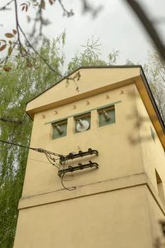 Yellow electrical substation tower with insulators among trees Stock Photos