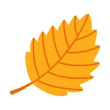 Yellow Elm Leaf Isolated Vector Element Flat Style Icon Stock Illustration