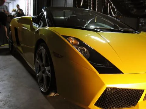 Yellow Exotic Stock Photos