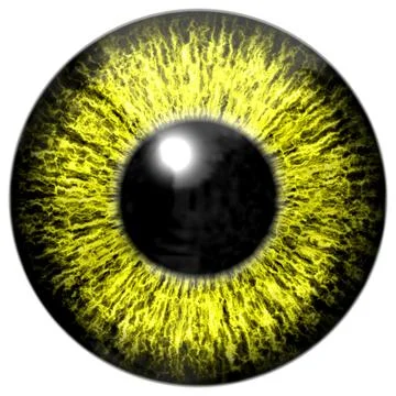 Yellow eye Illustrazione stock