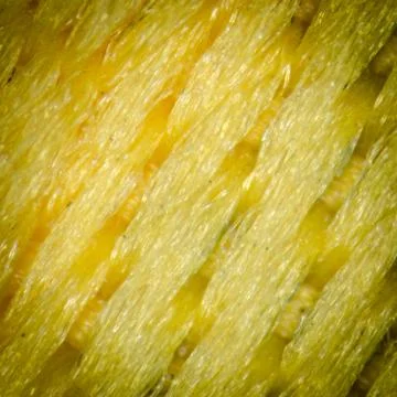 Yellow fabric texture Foto stock