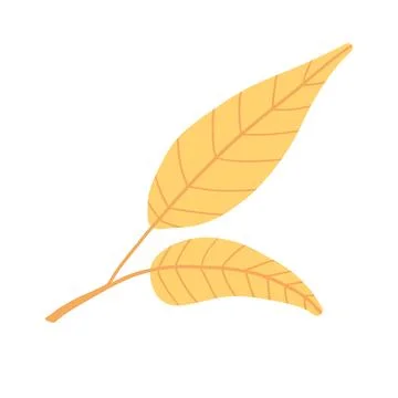 Yellow fall leaf illustration with a clean, minimalist design. Ideal for Stock Illustration