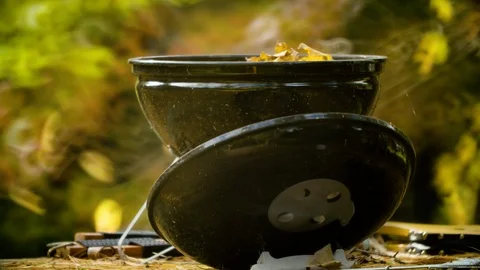 Yellow fall leaves sit in small cookout grill forgotten - summer turns to autumn Video stock 119782303