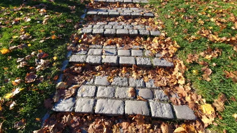 Yellow fallen leaves on cobblestone steps and green grass in autumn in a park. Stock Footage 231918260