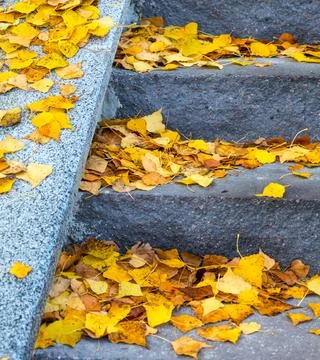 Yellow fallen leaves on granite steps Stock Photos