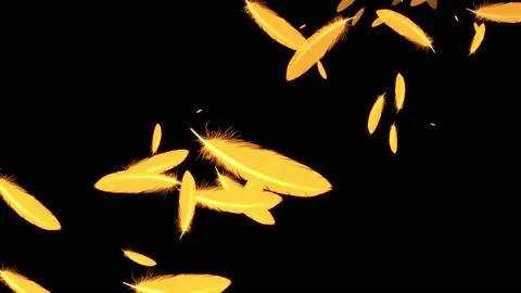 Yellow feather falling particles motion graphics Stock Footage 152226632