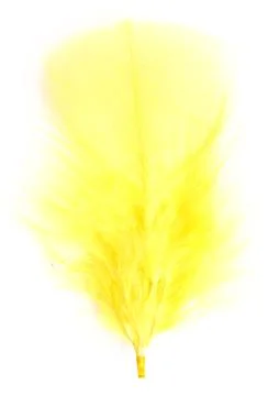 Yellow feather Stock Photos