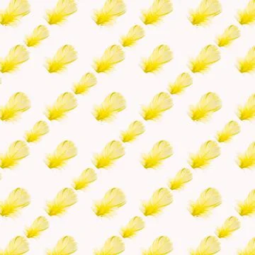 Yellow feather on white background, isolated, close-up, pattern Stock Illustration