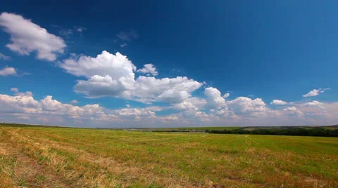 Yellow field and cloudy sky Stock Footage 25730767