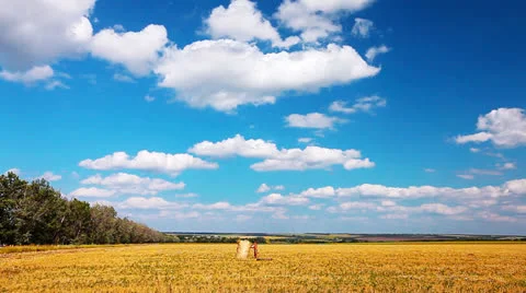 Yellow field and cloudy sky Stock Footage 25748457