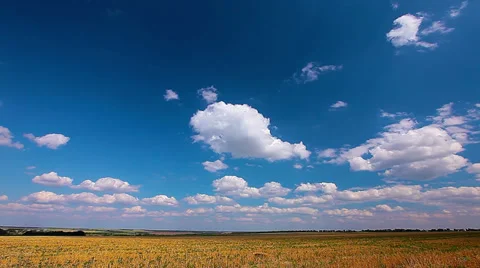 Yellow field and cloudy sky. 4K. FULL HD, 4096x2304 Stock Footage 36217418