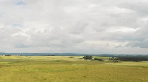 Yellow field and cloudy sky Stock Footage 65795556