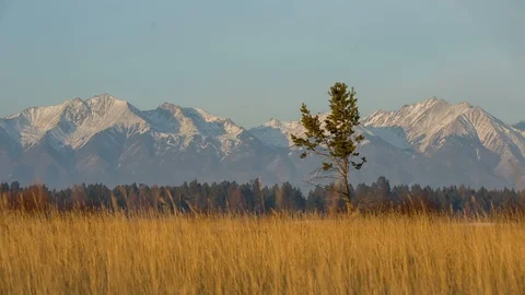 Yellow field and mountain sunset landscape Stock Footage 87770530
